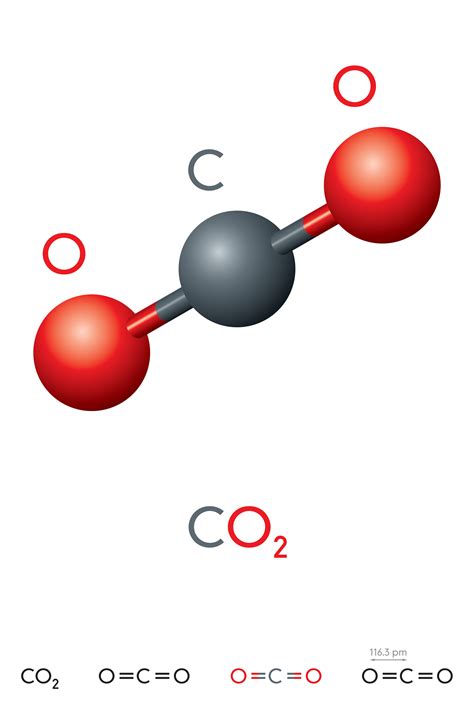 carbon dioxide 뜻